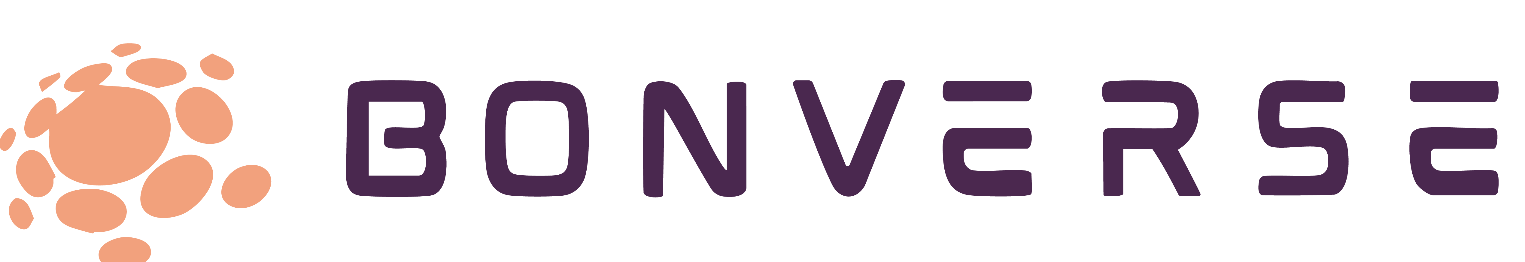 Bonverse Logo